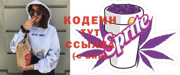 крисы Мегион