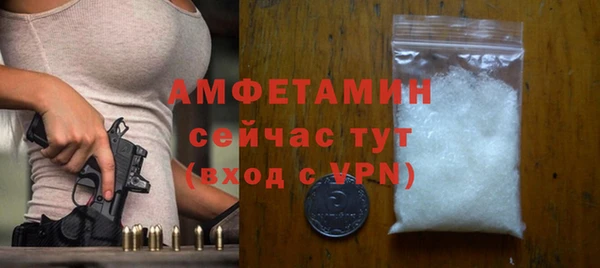 крисы Мегион