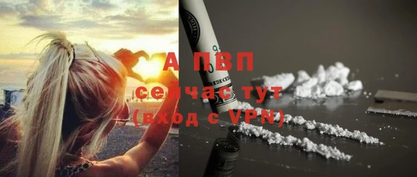 крисы Мегион