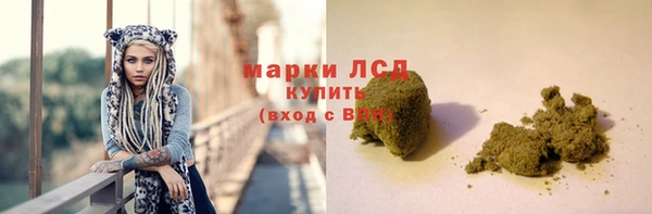 крисы Мегион