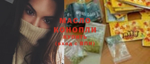 крисы Мегион