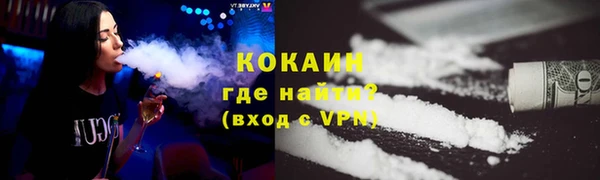 крисы Мегион