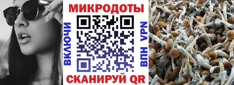 Галлюциногенные грибы прущие грибы  Покров 